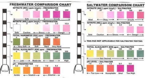 tetra water test strips